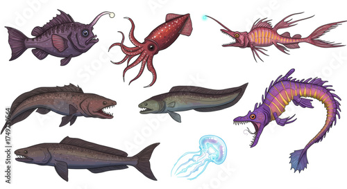 Collection of Diverse Aquatic Creatures Fish, Squid, and Jellyfish Illustrations