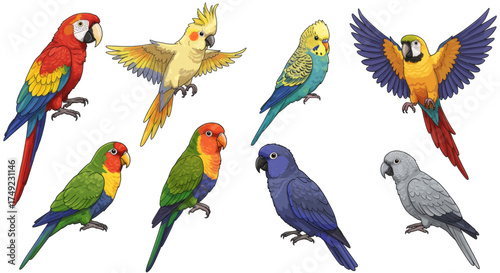 Colorful Assortment of Exotic Birds Macaws, Cockatoos, Parrots, and Budgies Illustration