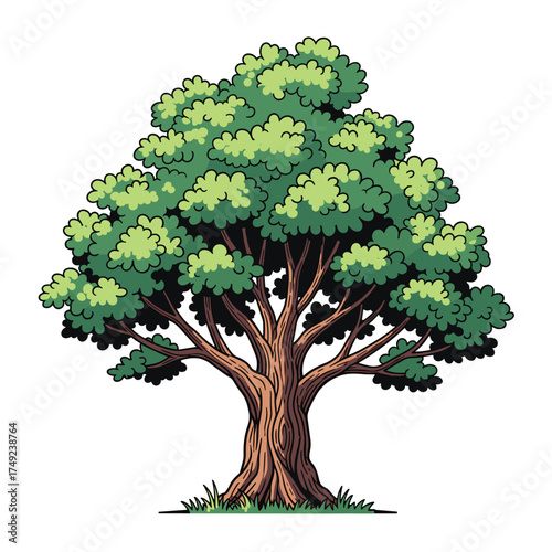 A large leafy tree with a thick trunk and many branches is depicted in a simplified cartoonish style.