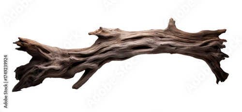 dark dead driftwood piece isolated on white or transparent png