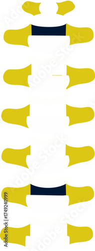 Spine vertebra icon for medical anatomy posture care and chiropractic concept