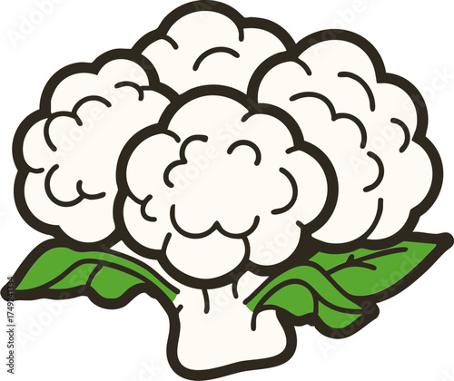 Cauliflower vegetable icon with leaf for healthy food nutrition and cooking