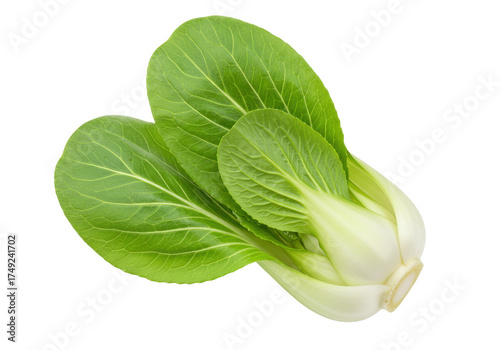 Fotografie Fresh bok choy isolated PNG, Chinese cabbage with green leaves and white stems f