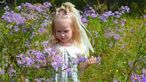 Little girl child in a dress collects purple wildflowers