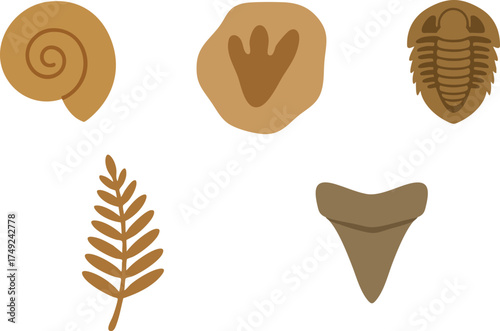Fossil collection icons ammonite dinosaur footprint trilobite crinoid stack scallop and leaf impressions
