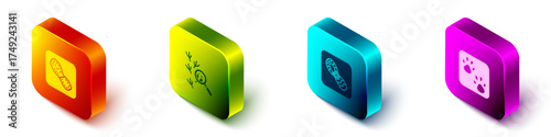 Set Isometric Human footprints shoes, Bird, and Paw icon. Vector