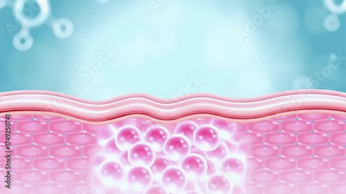 3d animation of white serum, cream, and lotion drops into skin cells for UV protection, Ultraviolet shield reflection. repair skin care concept
