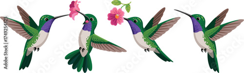 Colorful Hummingbirds Pollinating Flowers in a Tropical Garden Illustration - Vibrant Flying Birds, Wildlife Nature Scene, Botanical Artwork for Eco-Friendly Design, Ornithology Projects, Children's E