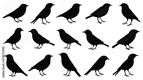 Collection of 15 scalable vector silhouette illustrations of various birds silhouette