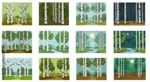 Twelve vector illustrations of birch forest scenes varying by season time of day and weather