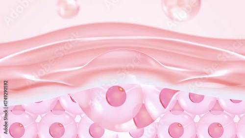  Layers of skin Drop a lotion or cream or serum. Onto the skin to add moisture And protect the skin from 3d sunlight
