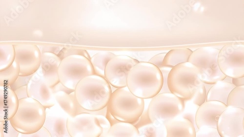  Layers of skin Drop a lotion or cream or serum. Onto the skin to add moisture And protect the skin from 3d sunlight
