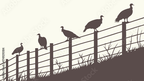 Turkeys Perched on Fence Line Ascending Hilltop Symbolizing Growth and Progress for Rural Farming and Agricultural Business Marketing Campaigns