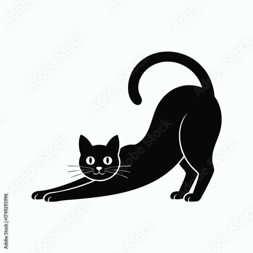 Black cat stretches with arched back  tail facing forward