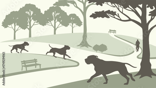 Joyful Dogs Running and Playing in Sunny Park, Active Pets Enjoying Outdoor Freedom, Healthy Lifestyle, Family Fun, Pet Care, Summer Recreation, Nature, Leisure