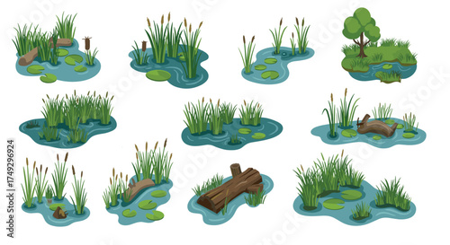 Collection of small ponds with reeds and lilypads in flat design