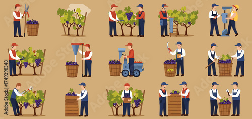 Grape harvest scenes featuring workers using tools and machinery