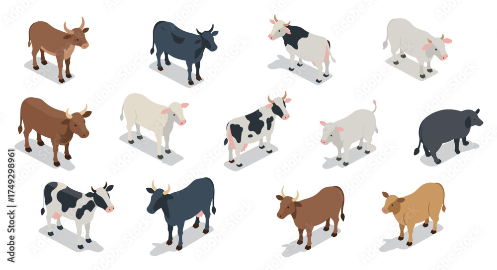 Obraz premium Isometric cattle collection: diverse breeds and colors in modern design