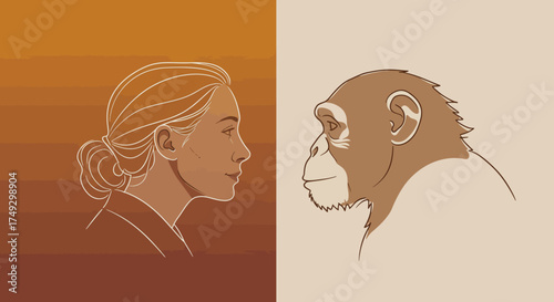 Striking visual comparing human evolution to chimpanzee evolution in a modern, elegant design, perfect for educational materials and science publications