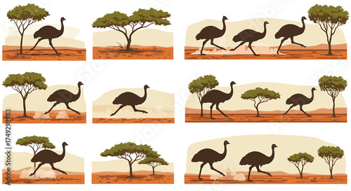 Silhouettes of running ostriches in arid savanna landscapes with acacia trees