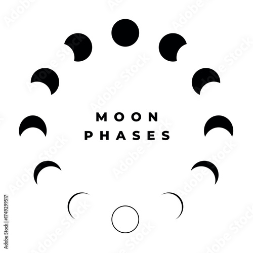 Black and white minimalist moon phases vector illustration circular lunar cycle icon chart simple spiritual astronomy concept for posters science astrology educational celestial design