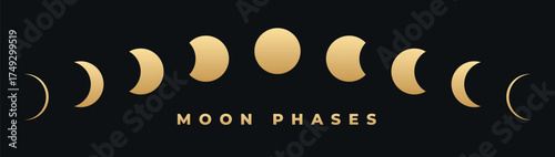 Minimal golden moon phases vector illustration isolated on black background, crescent waxing waning gibbous full moon flat modern astronomy celestial design for science educational infographic print