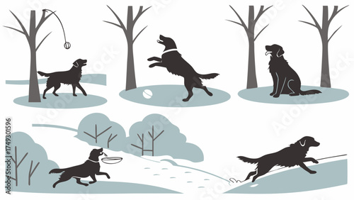 Black Labrador Dog Playing Fetch and Running Outdoors in Winter Snow Scenes for Pet Care Advertising