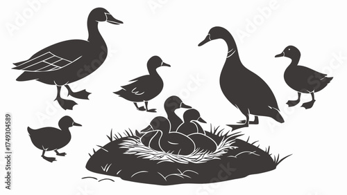 Nurturing Duck Family Silhouette Vector with Adult Ducks and Hatching Ducklings in Nest for Spring Nature Education Design