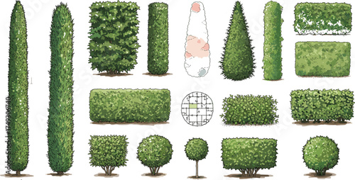 Green bush and hedge collection with realistic garden plants isolated on white background landscape topiary shrub vector illustration design set