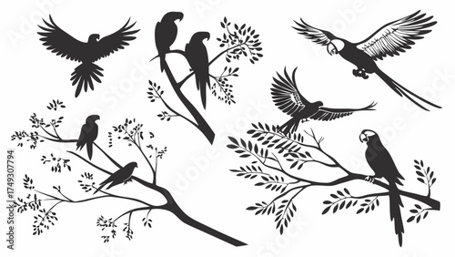 Parrot bird silhouette collection on tree branches for exotic wildlife and nature design
