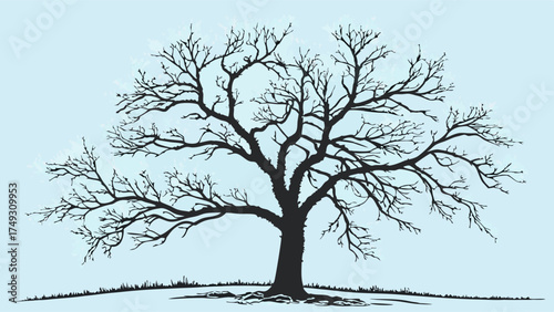 Resilient Bare Winter Tree Silhouette Illustration Leafless Branches for Nature Design Environmental Graphics Seasonal Web Projects and Growth