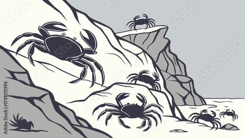 Crabs Scuttling on Rocky Coastal Shoreline Illustration. Marine Life for Nature Education, Wildlife Books, Environmental Websites, and Travel Guides.