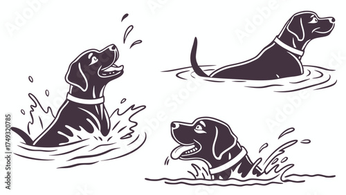 Happy Black Labrador Dogs Swimming and Splashing in Water. Playful Pet Vector Illustration for Summer Fun, Outdoor Activities, and Animal Lifestyle.