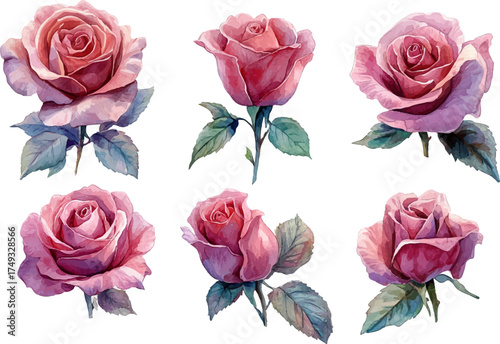 Floral Pink Roses Clipart