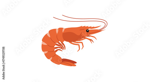 Stylized Orange Shrimp Illustration with Long Antennae and Curled Body.