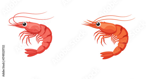 Two Cartoon Shrimp with Curled Bodies and Long Antennae.
