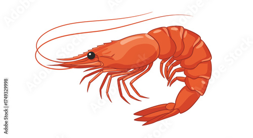 Cartoon Illustration of a Vibrant Orange Shrimp with Long Antennae.