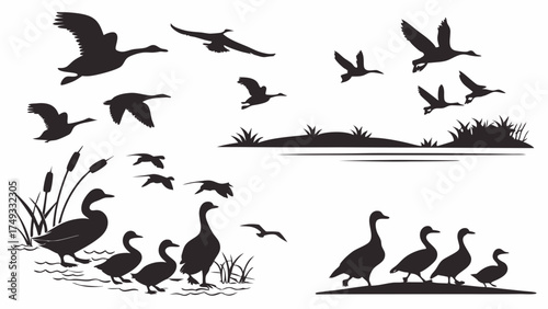 Waterfowl Silhouettes Set Migrating Geese and Ducks Flying Swimming Walking. Nature Wildlife Vector Graphics for Outdoor Hunting and Wetland Designs.