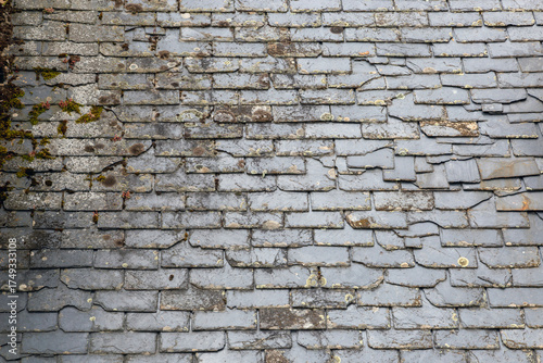 Old slate roof covered with moss and lichens