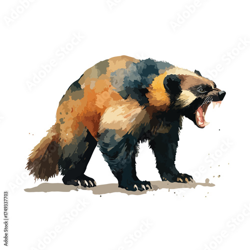Ferocious Wolverine Wildlife Illustration Aggressive Animal Mascot Design.