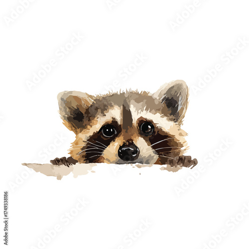 Cute Raccoon Peeking Head Watercolor Illustration.