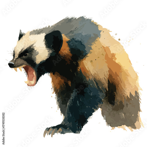 Fierce Wolverine Snarling Watercolor Illustration.