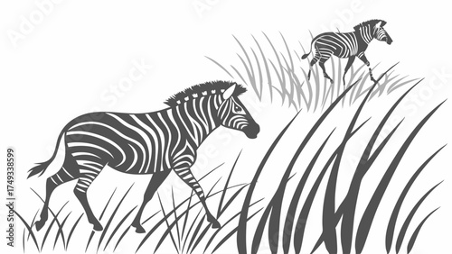 Two majestic zebras, an adult and a foal, walk through tall savanna grass in a detailed black and white vector illustration, capturing African wildlife in motion.