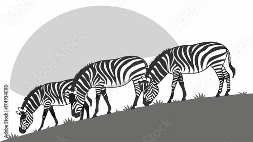 Three black and white striped zebras grazing on a grassy hill under a large sun, a stunning graphic illustration of African wildlife in nature, peaceful safari scene.
