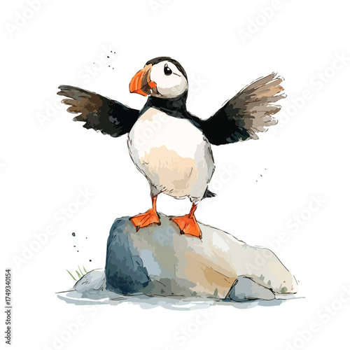 Cute Puffin Bird Watercolor Illustration on Rock.