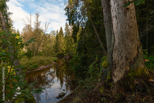 Latvia. Amata nature trail in autumn.