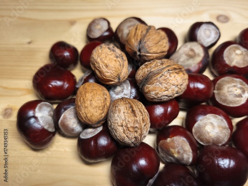 Walnuts and Chestnuts on Wooden Table