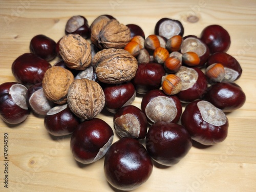 Walnuts and Chestnuts on Wooden Table