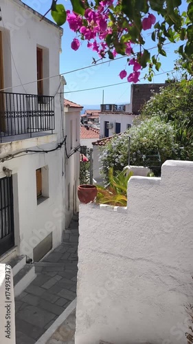 A quiet, sunlit alley on Skiathos Island, Greece, featuring whitewashed steps, blue shutters, and blooming bougainvillea