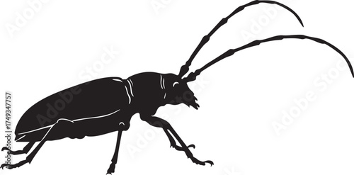 Side view silhouette of a Longhorn Beetle. Vector illustration of a Cerambycidae insect with long antennae